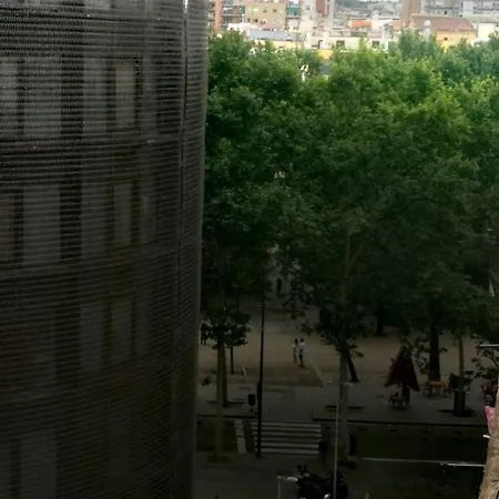 Alohpepa Barcelona